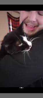 Lost momma cat at lot 54 of Shamrock, need help