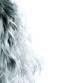 Ana Popovic event image