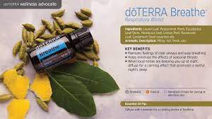 Products Healthy Essentials Online