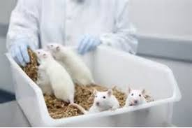 We are the faculty of veterinary medicine, the leading veterinary knowledge centre in the netherlands. Veterinary Animal Resources Unit Faculty Of Veterinary Medicine