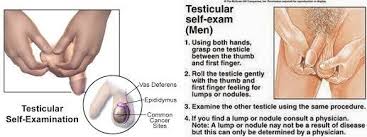 An annual exam is fine. Testicular Cancer Lakeshore Cancer Center