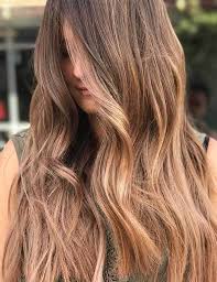 27 Best Light Brown Hair Color Ideas For 2018 Cute Haircuts Ideas Light Brown Hair Light Hair Color Brown Hair Colors