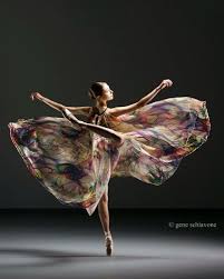 Magnifique Ballet Dance Art Ballet Photography Dance Pictures