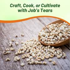 Image result for Coix