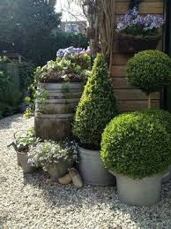 Pin By M C On Bloemen Cottage Garden Plants Garden Containers Gravel Garden