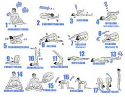 hatha yoga asanas and its benefits in