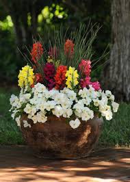 Container Garden Fillers For Shade Container Gardening Container Flowers Container Gardening Vegetables