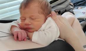 Hi everyone, I just wanted to ask anyone who has the tweety cam monitor how  is it? I'm looking at purchasing one and just wanted some feedback.  Thankyou 🙂