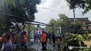 Hujan Disertai Angin Kencang Rumah Rumah Penduduk Rusak Di Pamekasan Portalmadura Com Pamekasan Hujan Deras Disertai Angin Kencang Di Hujan Pedesaan Pohon