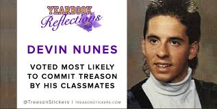 The Valley Rebel Alliance: Vote Devin Nunes out in 2022