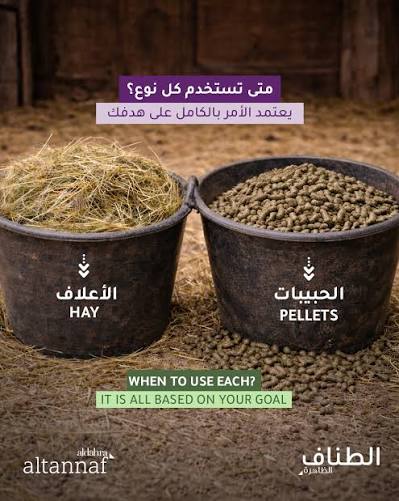 تغذية