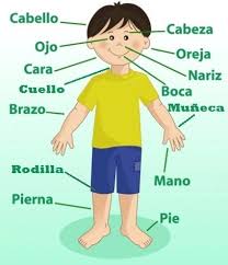We did not find results for: El Cuerpo Humano Para Ninos Areaciencias