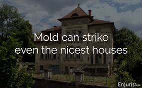 Click here to find out. Texas Rules And Regulations For Mold In Rental Properties