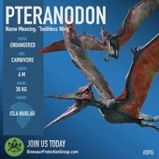 Jurassic world evolution là một sandbox chi tiết đáng kinh ngạc, cho phép người chơi tạo ra môi trường độc đáo của riêng mình. 16 Jurassic World Evolution Game Ideas Jurassic World Jurassic Jurassic Park World