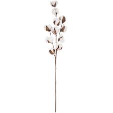 Is responsible for this page. Cotton Stem Hobby Lobby 1338060
