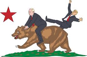 Now, putin actually oversees a number of research programs on various mammals that include polar bear and beluga whale and as well as wild cats. How To Make California Great Secede With A Little Help From Putin Bloomberg