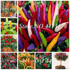 / alamat garmen ramayana pala sari : Top 10 Most Popular Bumbu Pedas Brands And Get Free Shipping Fk1759le