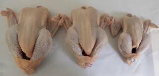 Le poulet, la volaille la plus populaire de son espèce, doit être cuit à point pour une cuisson parfaite. Poulet Fermier La Ferme Fabiole Vente Directe Producteur Maraussan 34370