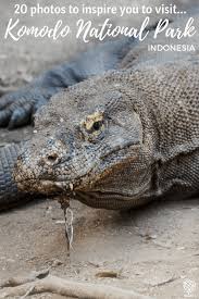 20 Photos To Inspire You To Visit Komodo The Travelling Stomach Komodo National Park Southeast Asia Travel Asia Travel