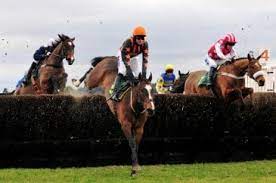 The stewards of the irish national hunt steeplechase committee (inhsc) have announced the full provisional summary of point to point races for the autumn 2021 season. Steeplechasers How Do They Stay Sound And Happy Horse Racing News Paulick Report