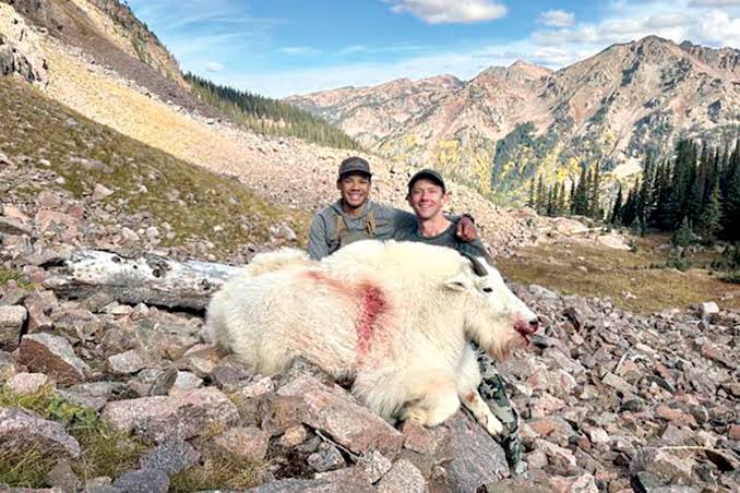 Outdoor adventure's edge finds no limit in mountain goat range - The Dispatch