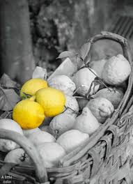 Black And White With Pop Of Color Art Pin By Juju Hin On امتزاج Imtezaaj Color Splash Photography Splash Photography Yellow Photography