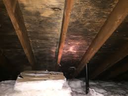Mold in the house isn't just a problem for people with allergies or asthma. Mold Testing Mold Remediation Frequently Asked Questions Mold Faq