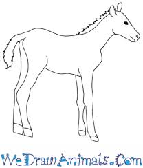 Mark off the width and height of the picture. How To Draw A Baby Mustang Horse