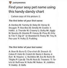 Justrpmemes Find Your Sexy Pet Name Using This Handy Dandy