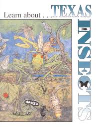 Texas Insects Guide By Jaime Gonzalez Issuu