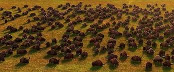 Elle fut promue au xviiie siècle par robert bakewell. Les Longhorns Personnage Pixar Du Voyage D Arlo