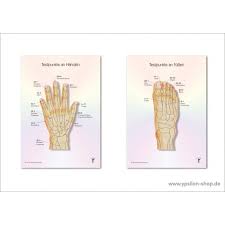 testpunkte hande fusse pocket ypsilon shop produkte fur die praxisorientierte neue homoopathie praneohom taschenkarte punkte hande