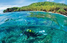 The park is home to many species of animal and plant life, including the eponymous red crab. 8 Random Christmas Island Adventures Australian Traveller