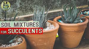 In most places, soil for succulents has to be made a little different from garden soil, or they will simply rot. Potting Mix For Succulents And Cacti Diy Soil Mixture For Succulents Indoor Outdoor Universal Mix Youtube
