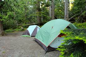 You may make changes in recreation.gov to your permit up to 2 days in advance of your trip. Camping In Olympic National Park Heart O The Hills Campground Park Chasers