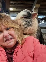 Piggles: 'I live here now.' Megan: 'I regret everything.'”