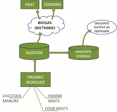Design Of A Household Human Waste Bioreactor