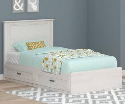 Ameriwood Magnolia Oak White Twin Mates Storage Bed Big Lots White Bed Frame Bed Frame Storage Bed