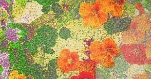 Pin By Laurel Shimer On California Style Garden Beds Compost California Style