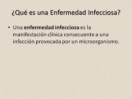Muchos organismos viven dentro y fuera de nuestros cuerpos. Enfermedades Infecciosas Ppt Descargar