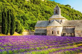 Während der wilden blüte soll sich der duft in ganz koktebel, tarkhankut und sewastopol ausbreiten. Duftende Lavendelfelder In Der Provence Urlaubsguru