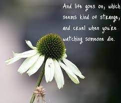 Quotes About Dead Flowers 66 Quotes