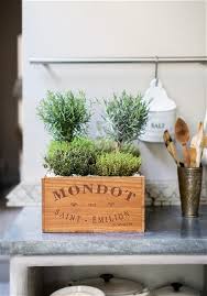 Indoor Gardening Quirky Ways To Bring Nature Inside