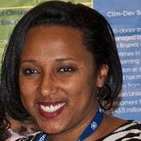 Hanna Woldemariam