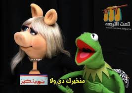 Pin On الضفدع كرميت