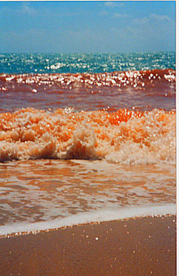 A Blood Red Sea. One of ten insider tips for East Arnhem Land. Australia -  Far Flung Places