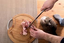 Cats can eat bacon only it really should be as an occasional treat only. Can Cats Eat Pork What You Need To Know Excitedcats