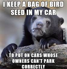 Get the latest funniest memes and keep up what is. Can T Fit Your Car In One Space Well I Hope You Don T Mind Bird Shit On Your Car 9gag
