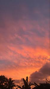 Fondos de pantalla 1080x1920 amaneceres y atardeceres árboles rama silueta naturaleza descargar imagenes. Pin De Fatima Arellano Charolet En Pintura En 2021 Fotos Del Cielo Fotografia Del Cielo Paisaje Atardecer