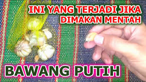 Dan mencoba mengonsumsinya untuk kebaikan dan kesehatan tubuh. Manfaat Makan Bawang Putih Mentah Setiap Hari Untuk Kesehatan Tubuh Youtube